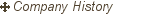 history of maruzen